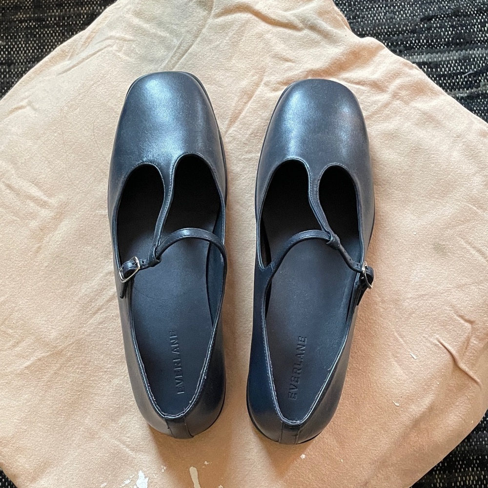 NWOT Everlane t-strap Mary Jane